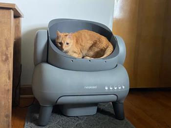 review litiera automata NEAKASA M1